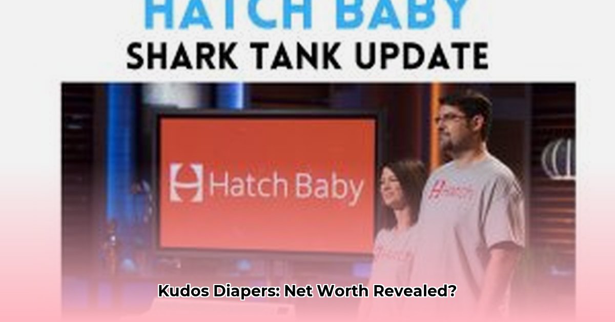 kudos-diapers-net-worth